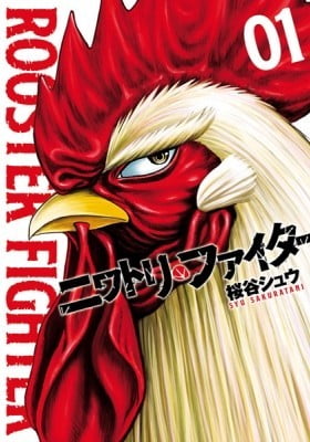 Rooster Fighter Rooster Fighter